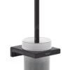 Hansgrohe AddStoris - WC Borstel Wandmontage, Mat Glas/zwart Mat 41752670