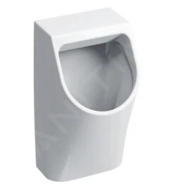 Geberit Smyle - Urinoir, Achterinlaat, Wit 500.254.01.1